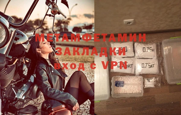 шишки Магас