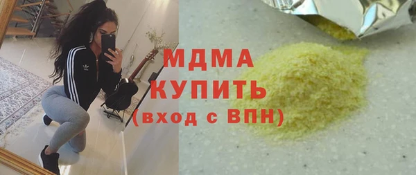 индика Вяземский