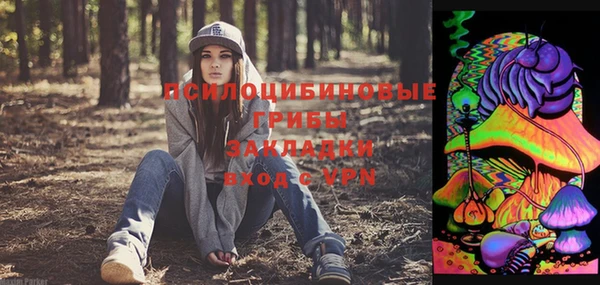 эйфоретик Майский