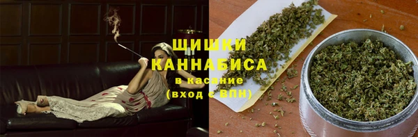 индика Вяземский