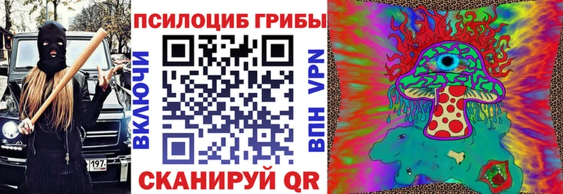 Псилоцибиновые грибы MAGIC MUSHROOMS  MEGA ССЫЛКА  Николаевск-на-Амуре 